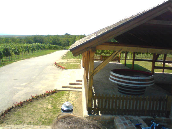 Beljska vinska cesta